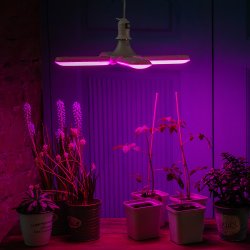 LED-P65-32W-SPSB-E27-FR-P4 PLP32WH Лампа светодиодная для растений. Форма P лепестковая. матовая. Спектр для рассады и цветения. Картон. ТМ Uniel